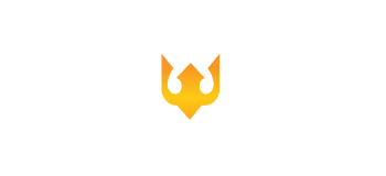 spinrise-logo-light